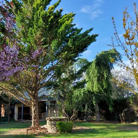 Villa Lana Chalet Baros, Jaca Exterior photo